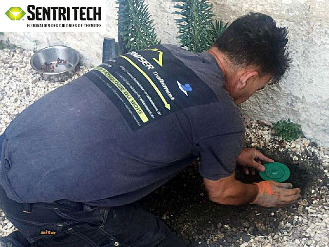 TERMISER Traitement - Pose de pièges appâts SENTRI TECH en périphérie de votre habitation